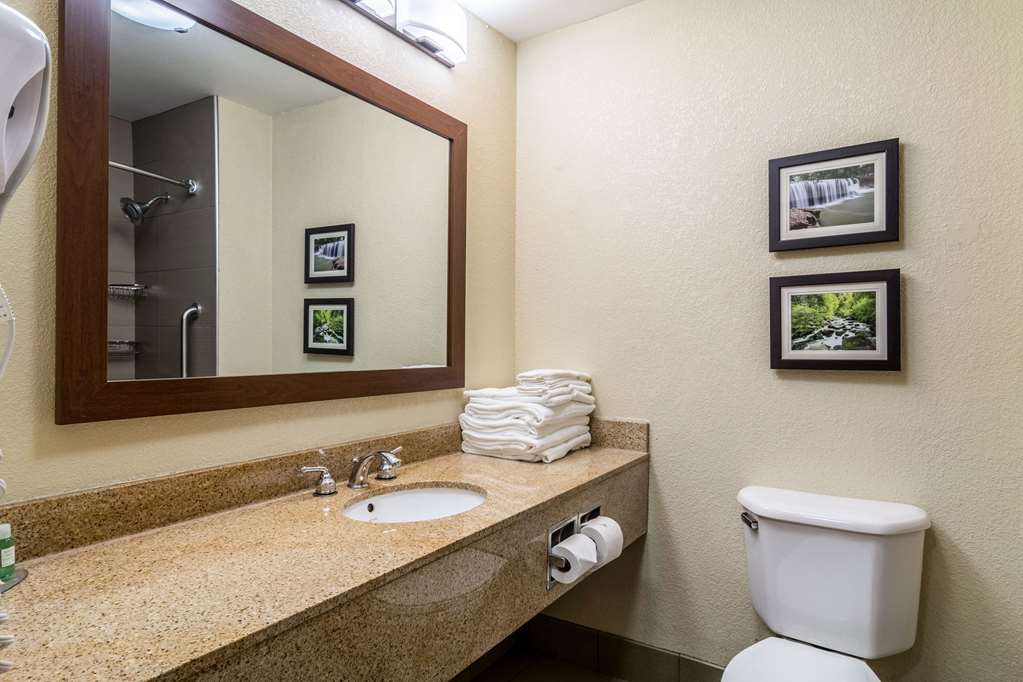 Comfort Inn & Suites Hannibal - photo 27