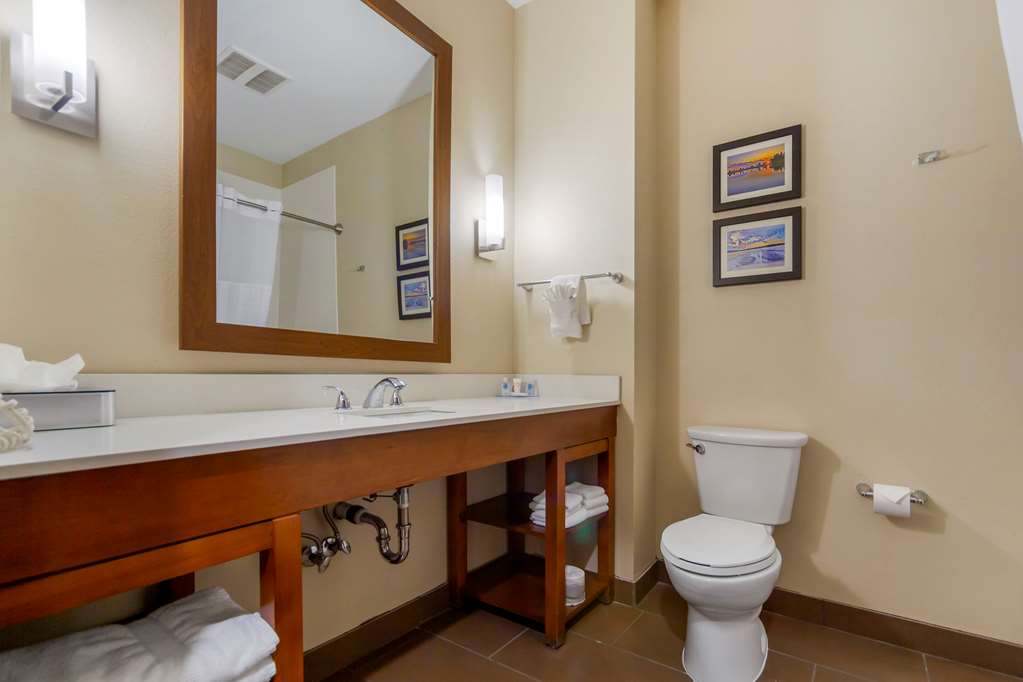 Comfort Suites La Vista Omaha - photo 27
