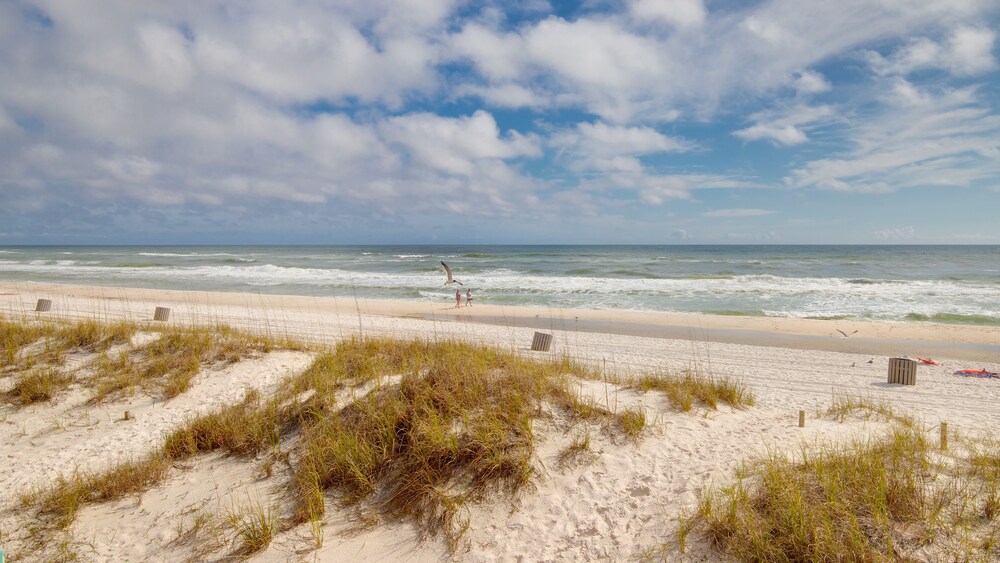 Surfside 5 By BlueSwell - photo 55