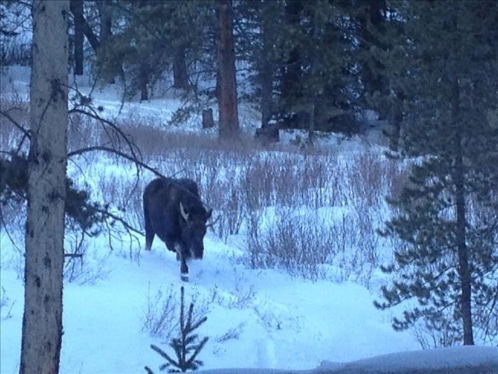 Black Bear Crossing By Peak Property Management VR - photo 24