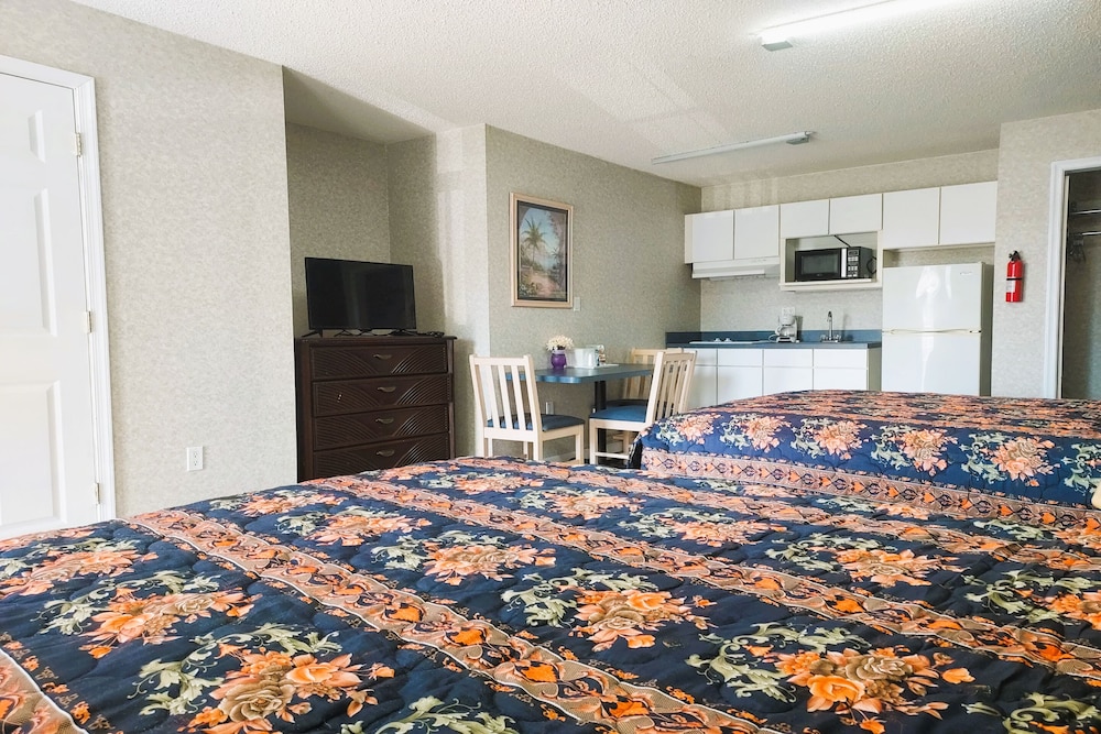 Studio Inn & Suites - photo 16