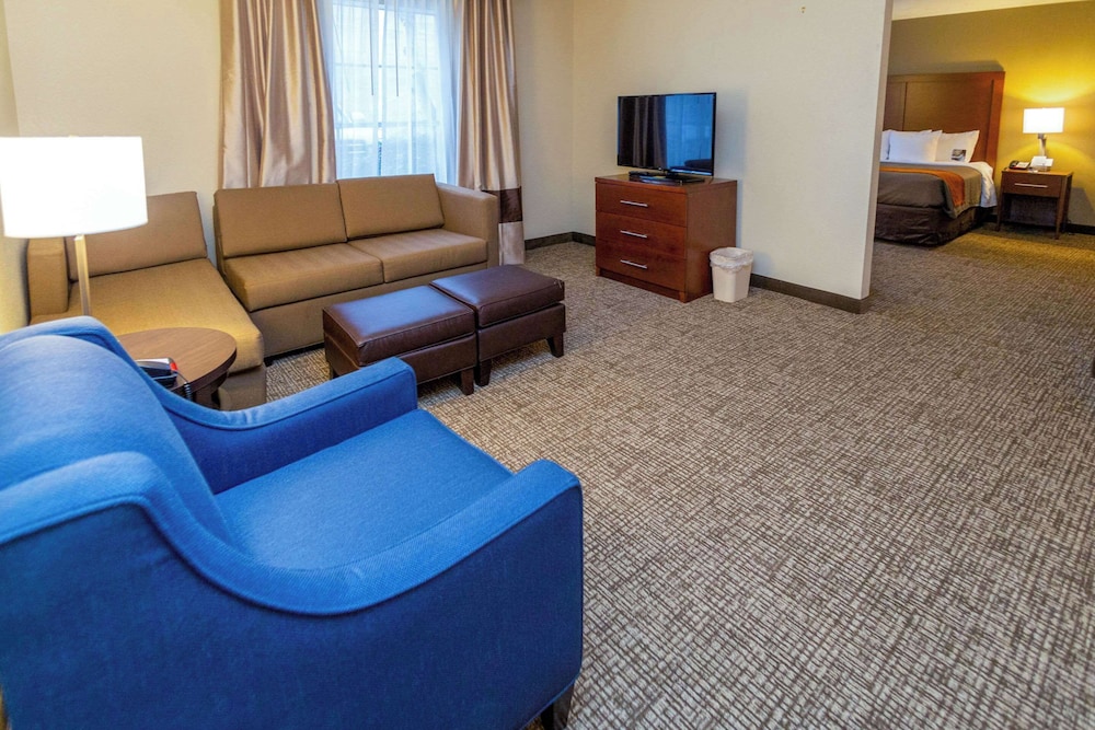 Comfort Inn Salt Lake City Downtown - photo 44