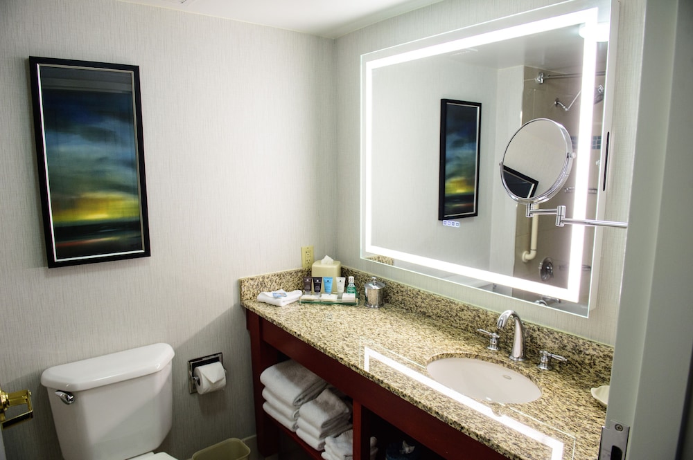 Crowne Plaza Dulles Airport by IHG - photo 58