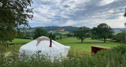 The Yurt @ Osmore in Axminster, United Kingdom