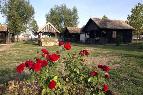 Rooms with a parking space Tordinci Slavonija 15159 — hotel near Osijek Airport