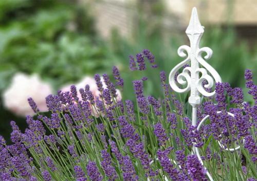 Rohonci Vendégház in Koszeg, Hungary