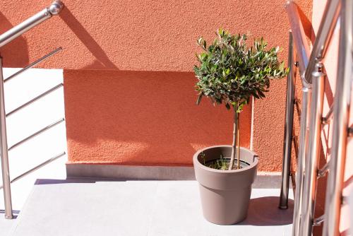 Acron Suites — Limenaria — photo 5