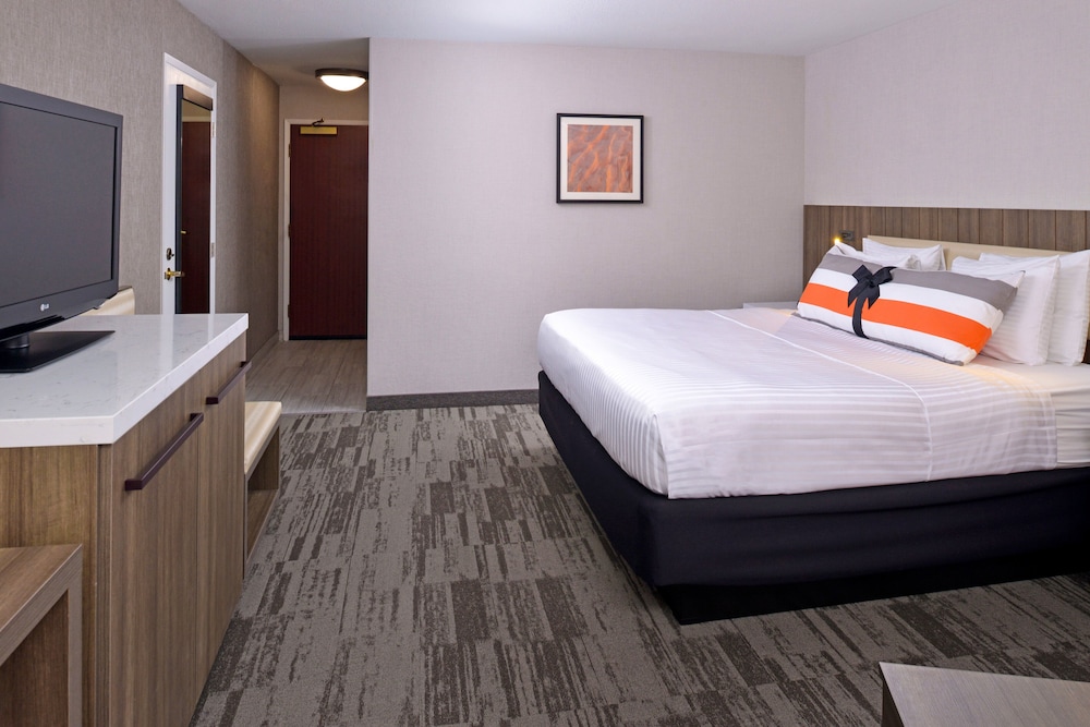 Modesto Hotel - photo 19