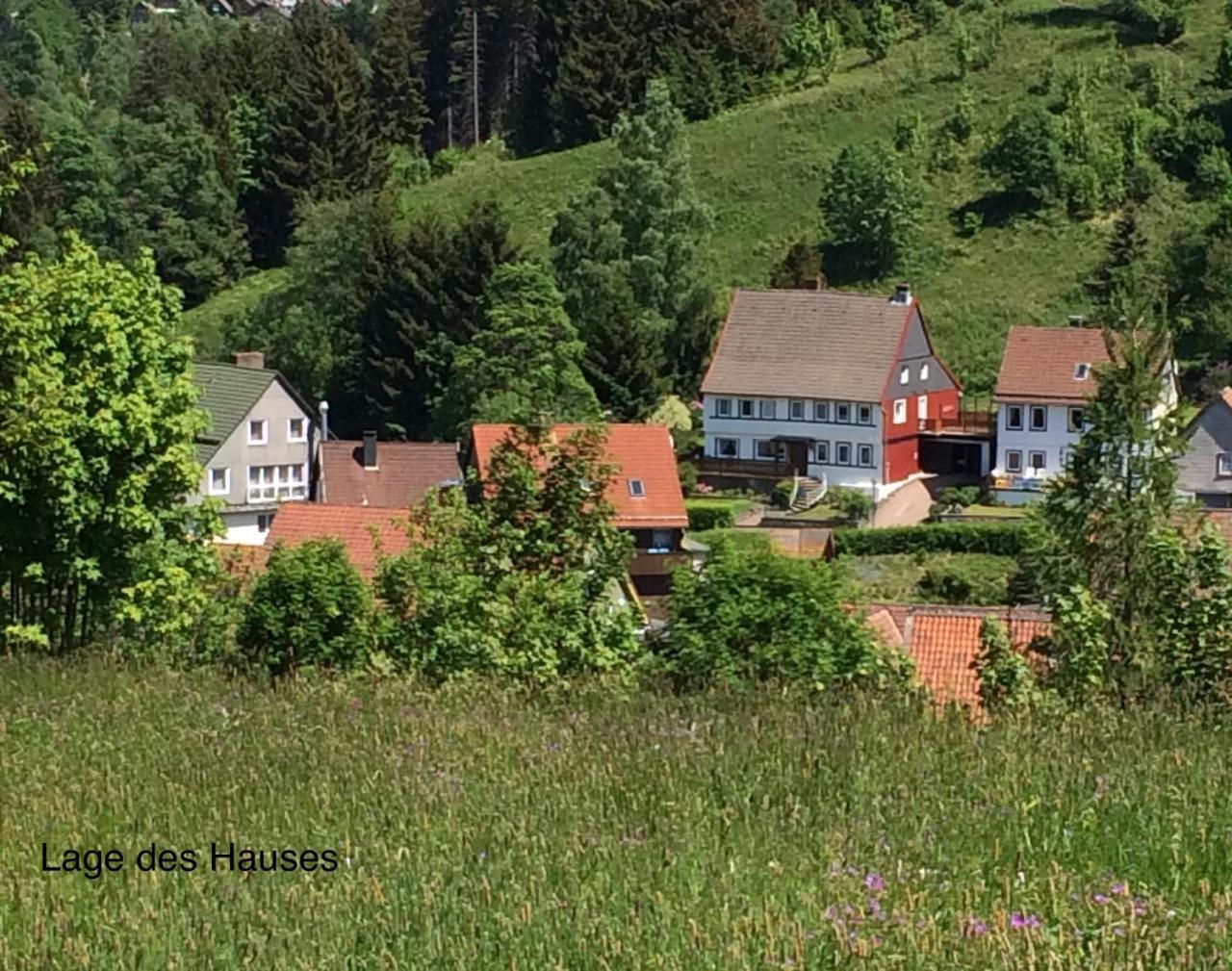 Am Muhlenberg — Altenau — photo 2