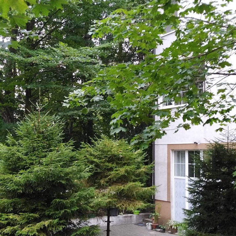 Mechty Sbyivayutsya Mini Hotel in Svetlogorsk, Russia