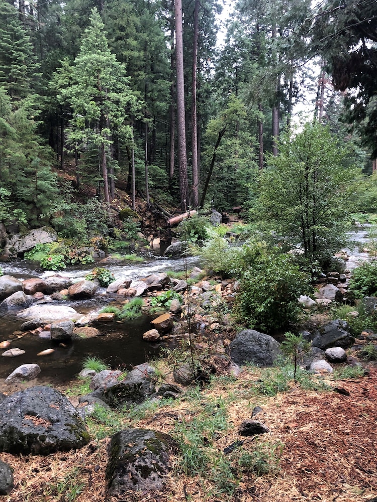 Sierra Inn on the River - photo 10
