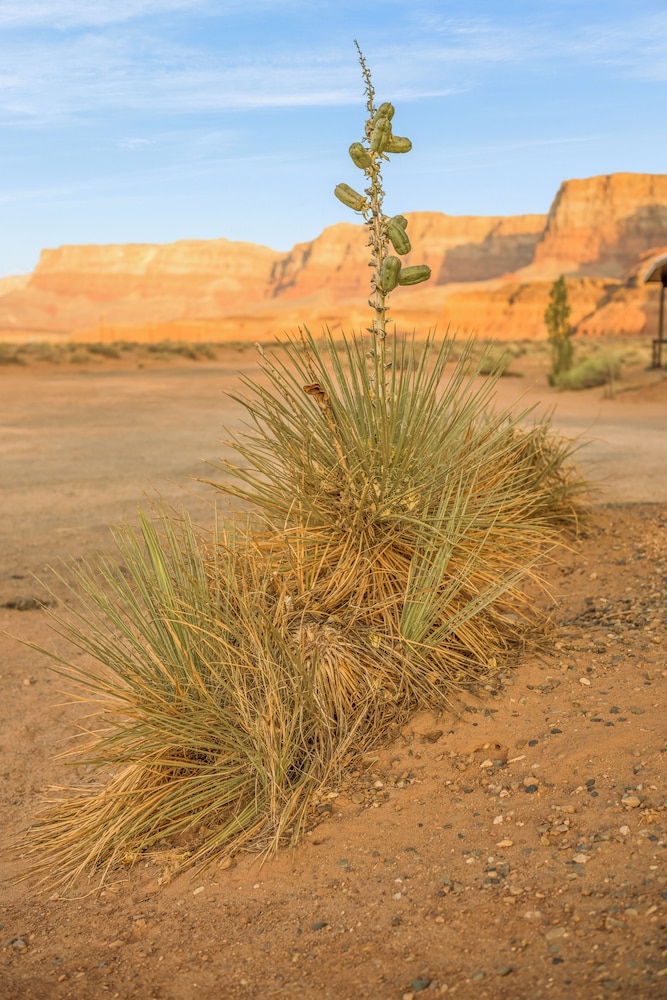 Marble Canyon Lodge - photo 180