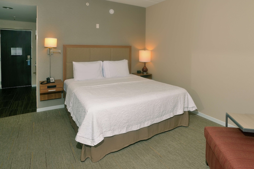 Hampton Inn Springfield Southeast - photo 9