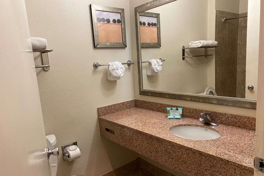 Baymont by Wyndham Houston North - photo 22