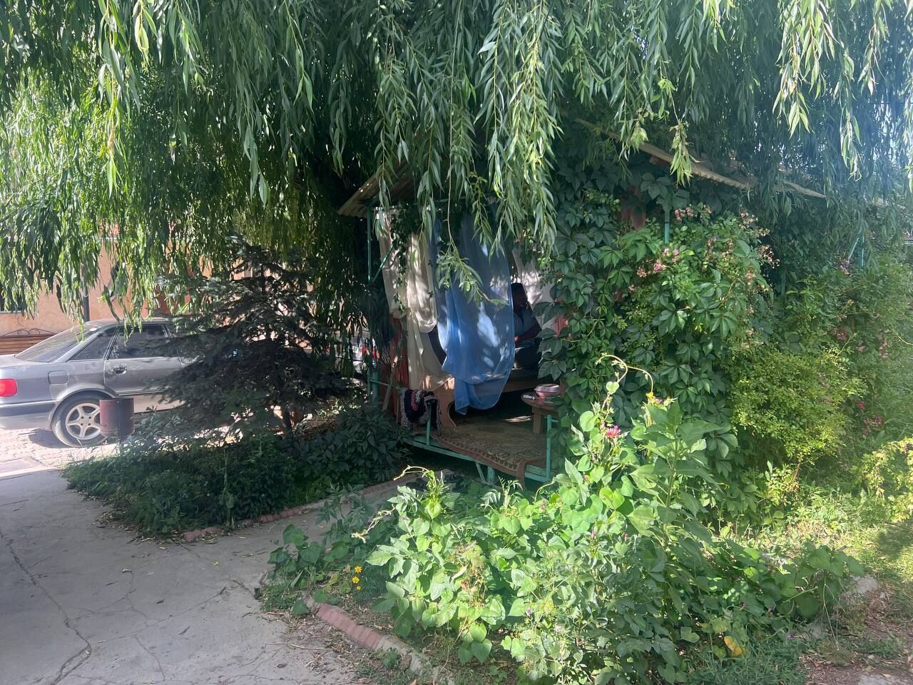 Vstrecha — Karakol — photo 3