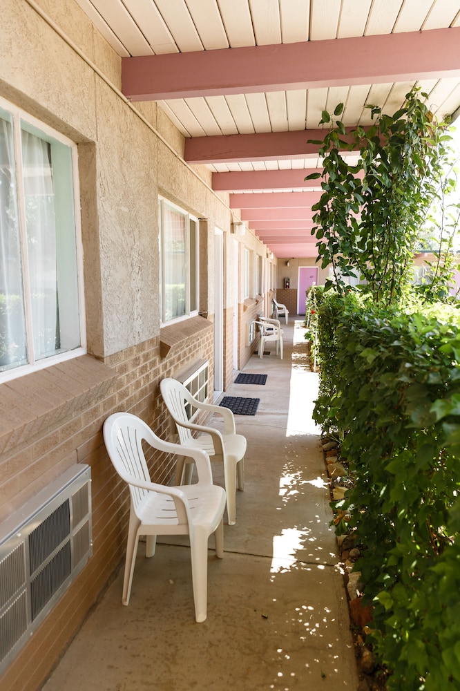 Safari Inn - photo 29