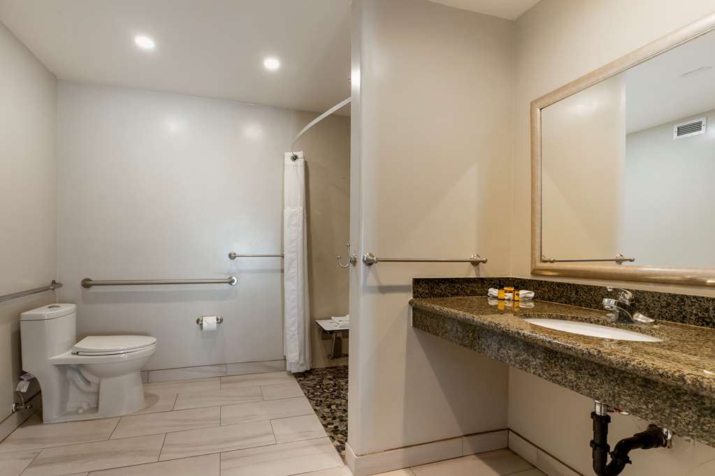Best Western Plus Forest Park Inn - photo 53