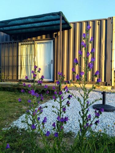 Calma ya estás en la Playa in Unknown City, Uruguay