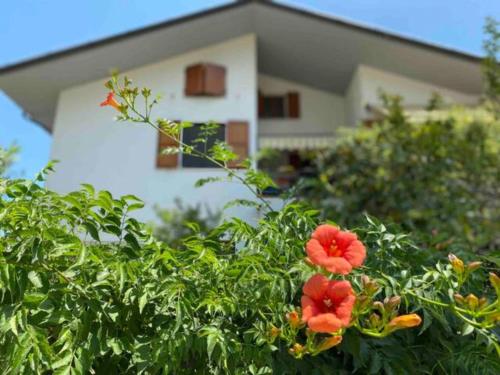 Via Verdi 14 — 4-Star Luxury Hotel in Mondolfo, Italy