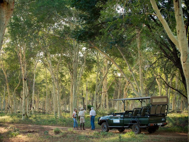 Return Africa Pafuri Collection - last minute hotel in Mutale