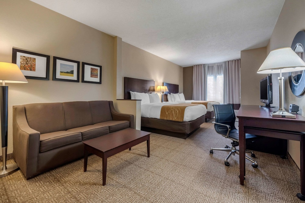 Comfort Suites Lafayette University Area - photo 21
