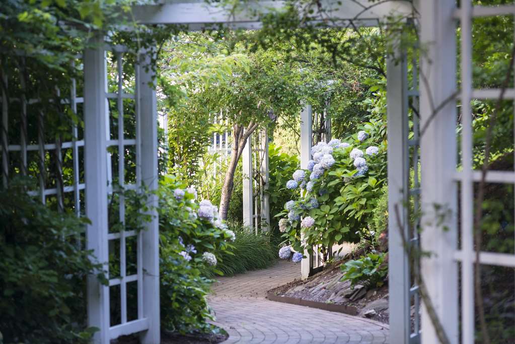 The Garden City Hotel - photo 3