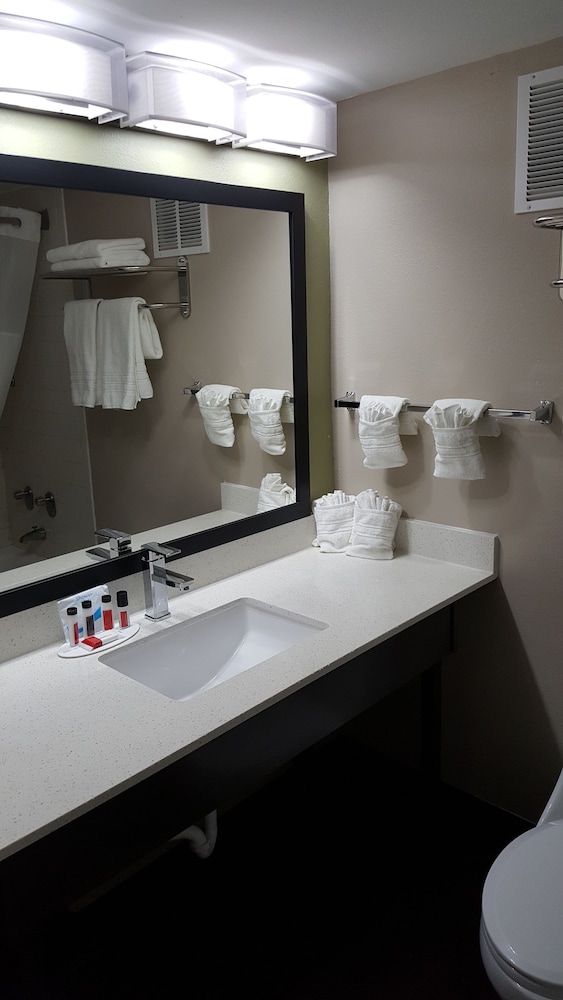 Baymont Inn & Suites Grand Rapids Near Downtown - photo 6