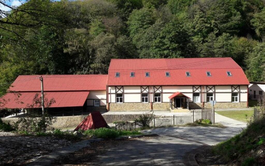 Art Hotel Yolki Hostel in Krasnaya Polyana, Russia