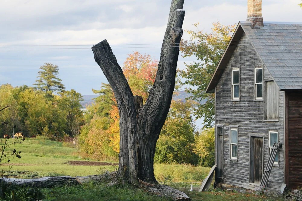 The Inn on Lake Champlain - photo 32