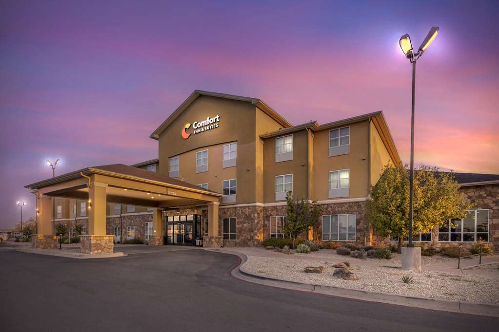 Comfort Inn & Suites West Artesia - photo 4
