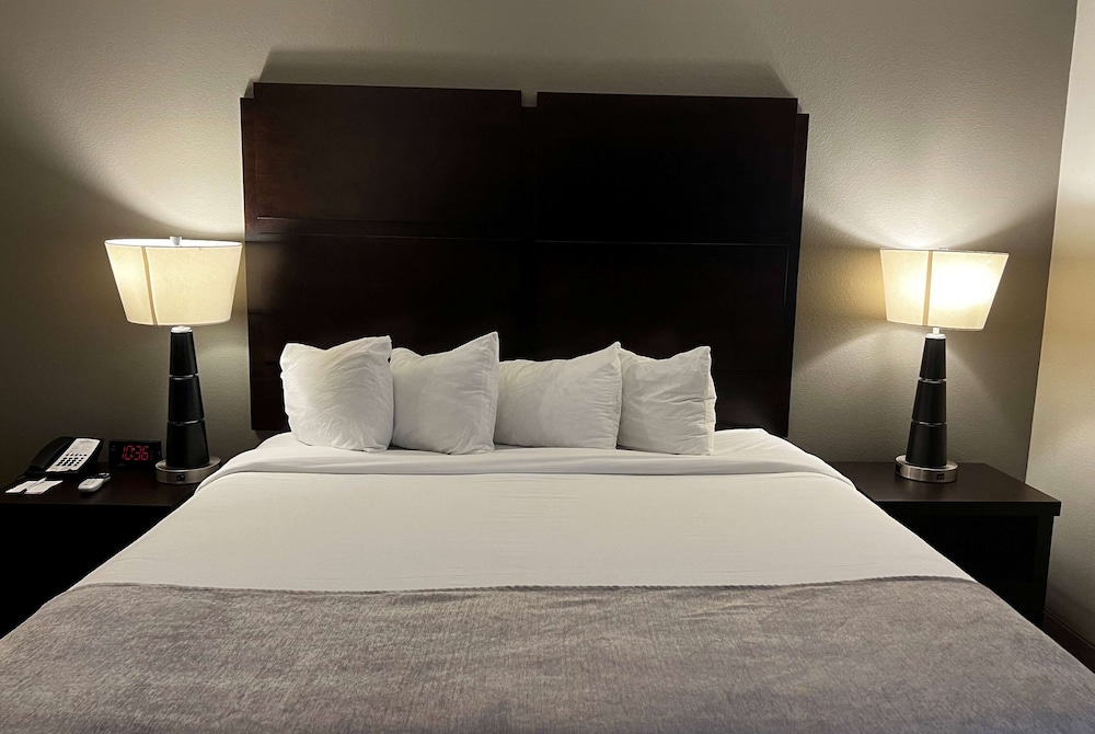Baymont by Wyndham College Station - photo 24