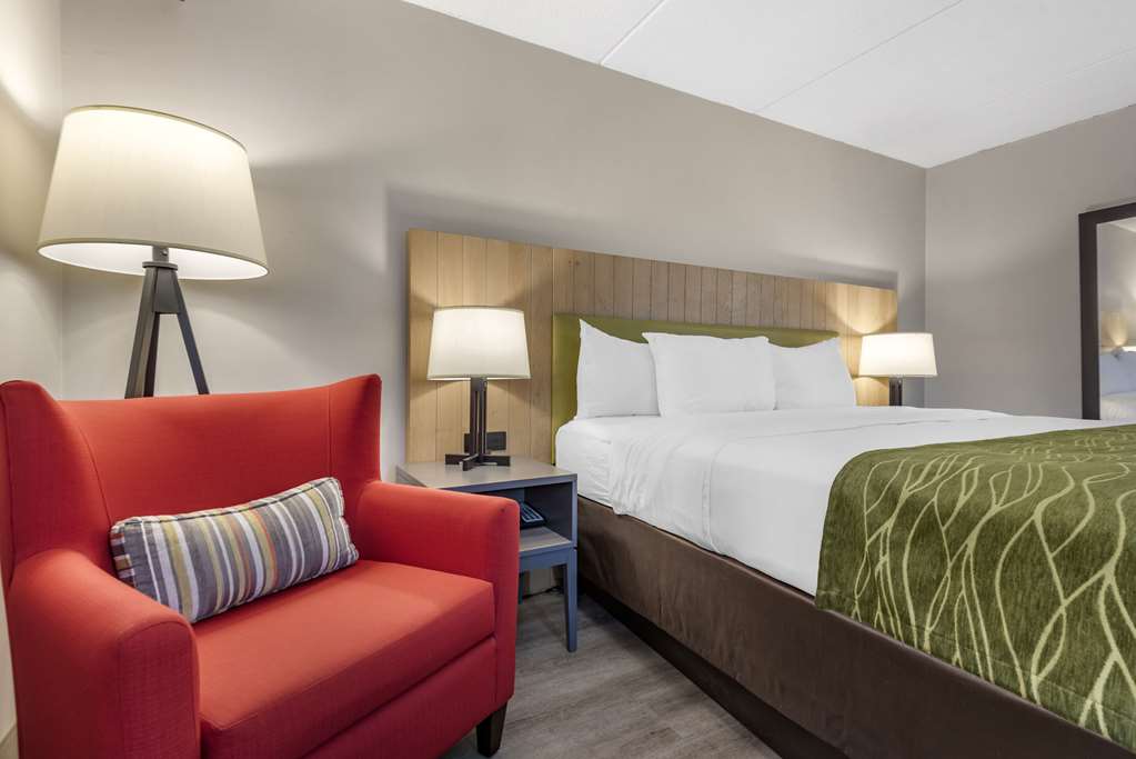 Comfort Inn & Suites Liverpool Syracuse North - photo 9