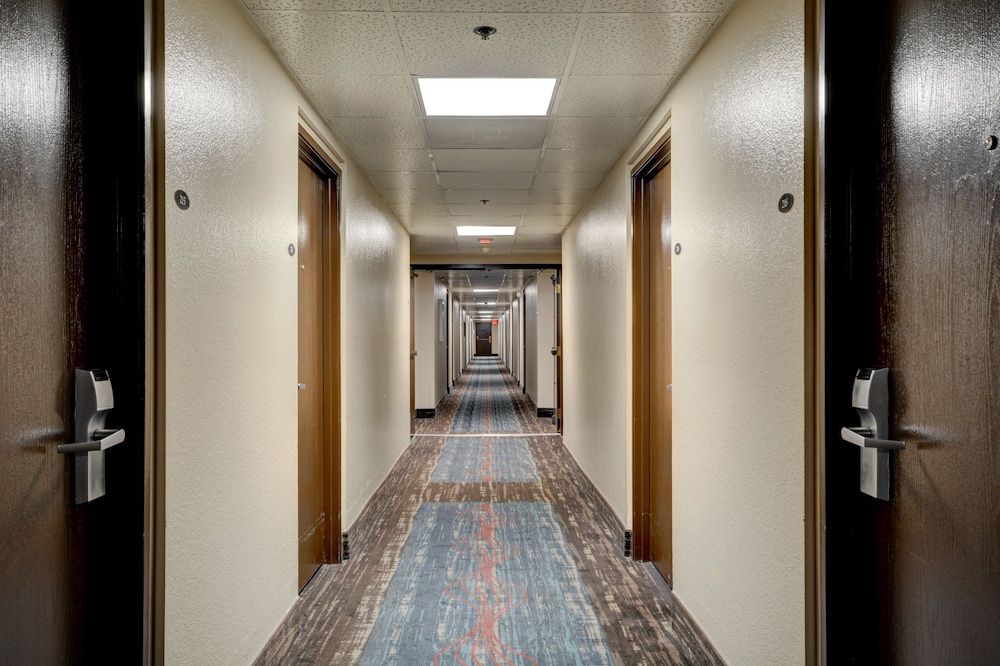 Longhorn Casino & Hotel - photo 37