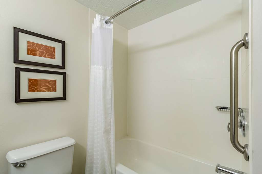 Comfort Inn Independence Cleveland - photo 19
