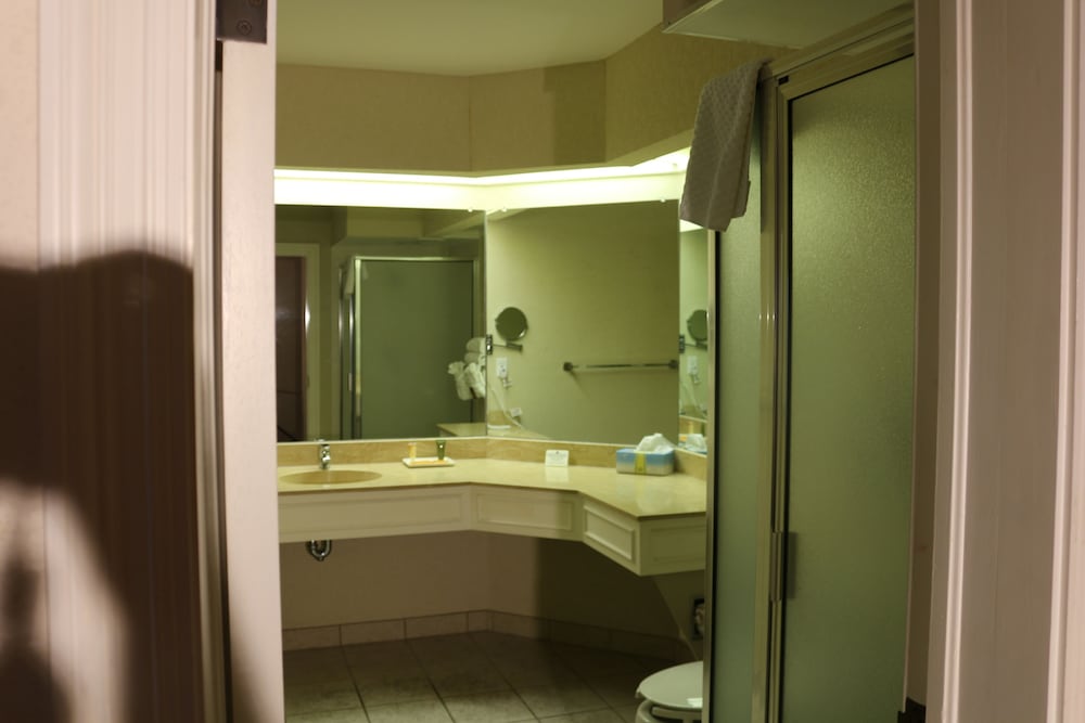 Imperial Swan Hotel & Suites - photo 18