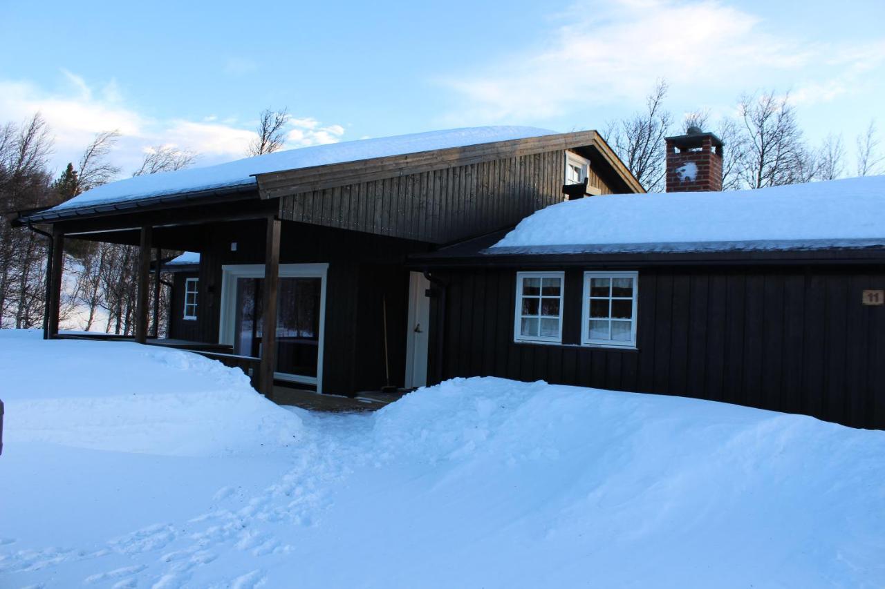 Sigurdhytta in Al, Norway