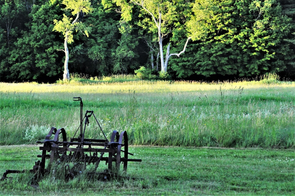 Gedney Farm - photo 37