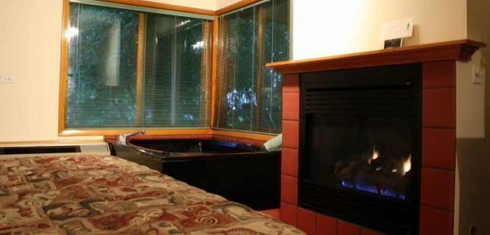 Lake Bluff Inn and Suites - photo 14
