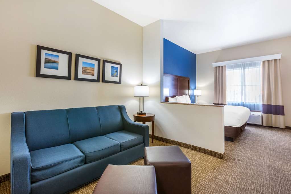 Comfort Inn & Suites Yuma I 8 - photo 21