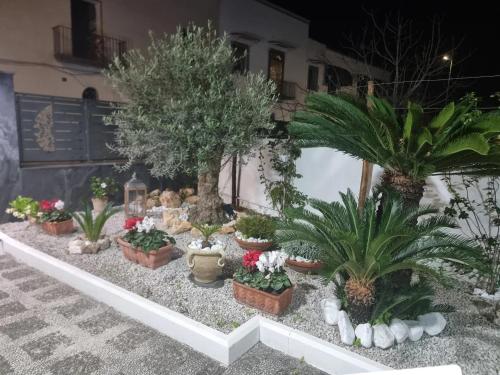Leonida Guest House — 4-Star Luxury Hotel in Boscotrecase, Italy