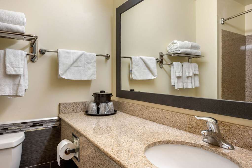 MainStay Suites Grantville Hershey North - photo 29