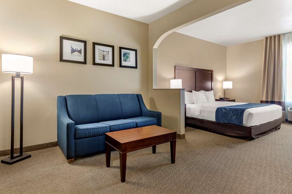 Comfort Suites Waco Near University Area - photo 6