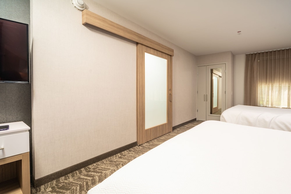 SpringHill Suites by Marriott Kenosha - photo 18