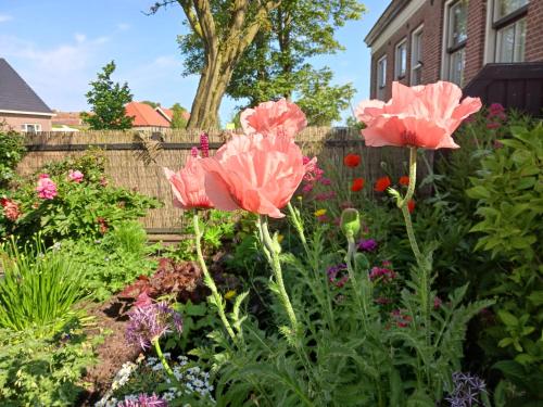 Huize Bloem — 4-Star Luxury Hotel in Franeker, Netherlands