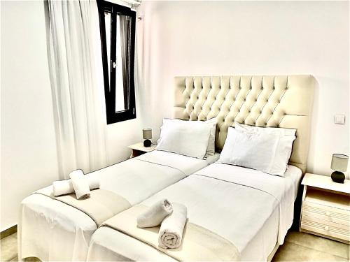 Alkestis Studios — Lixouri — photo 3