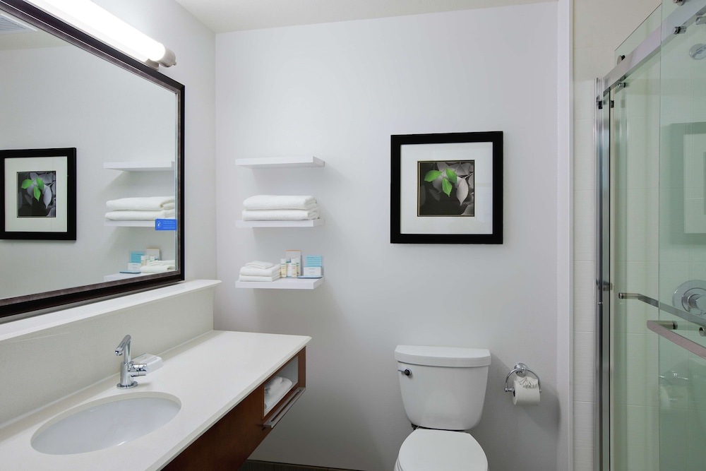 Hampton Inn & Suites Mountain View - photo 38