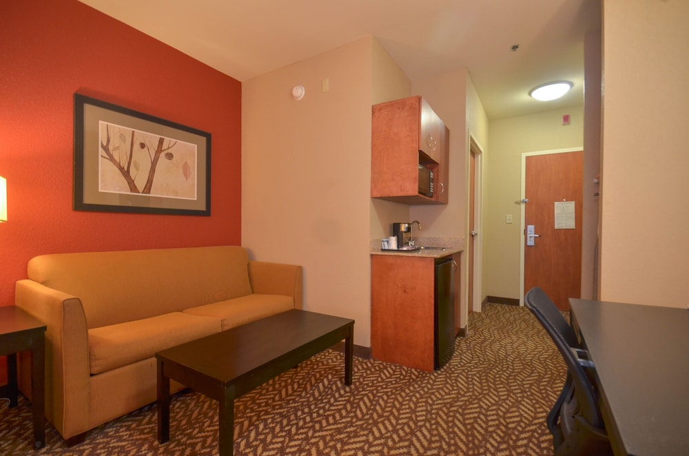 Holiday Inn Express Hotel & Suites Pine Bluff Pines Mall by IHG - photo 22
