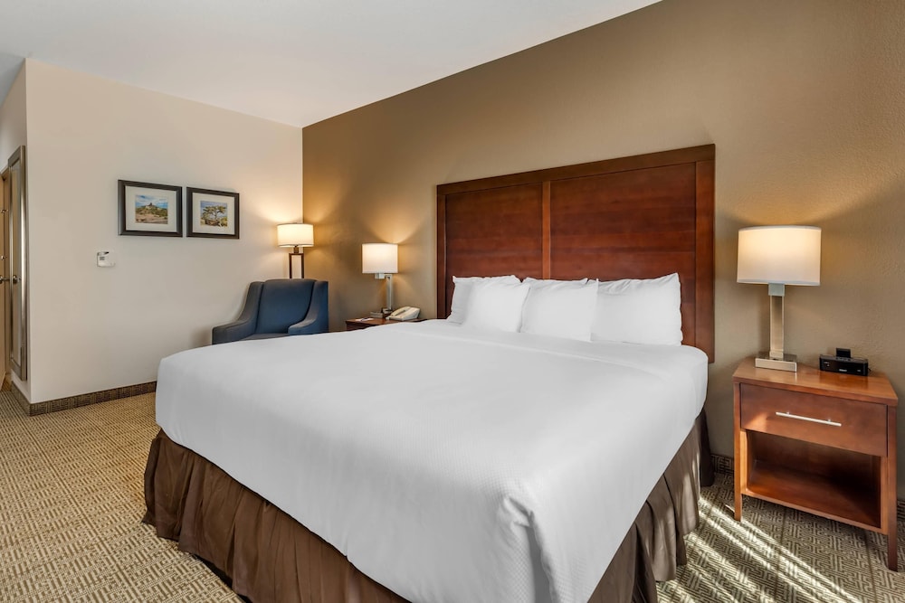 Comfort Inn & Suites Aztec Farmington Area - photo 15