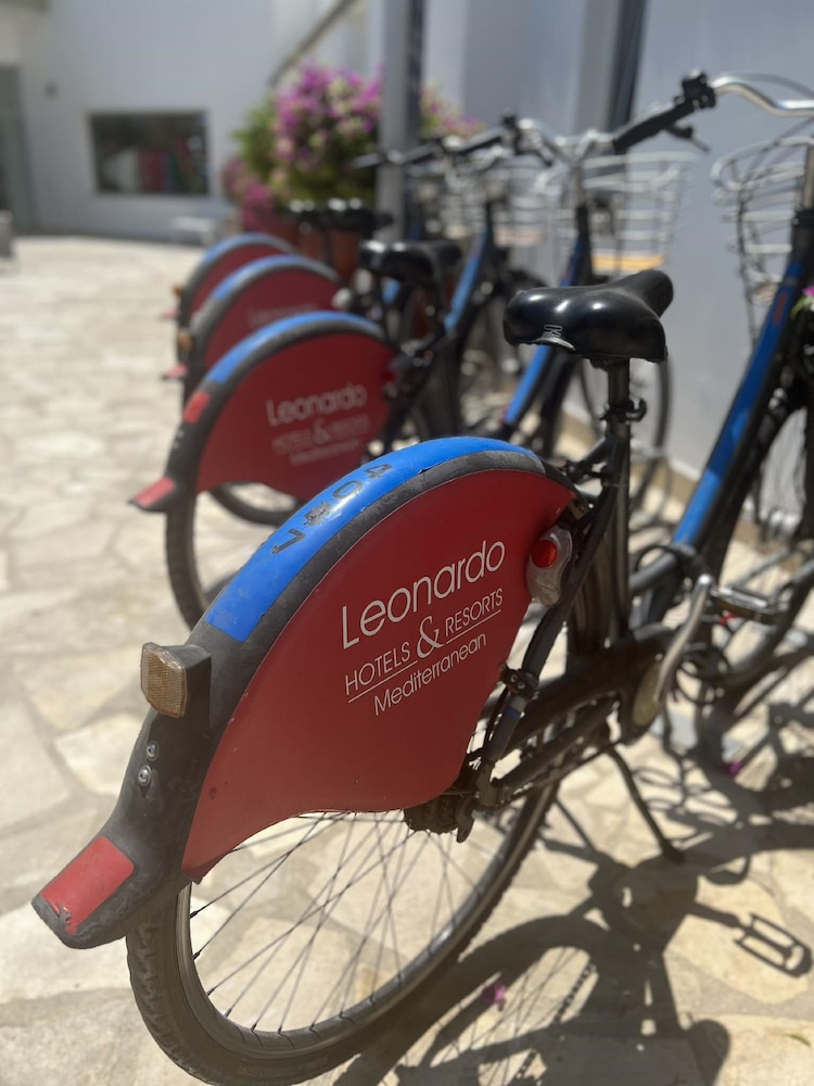 פעילויות וכושר