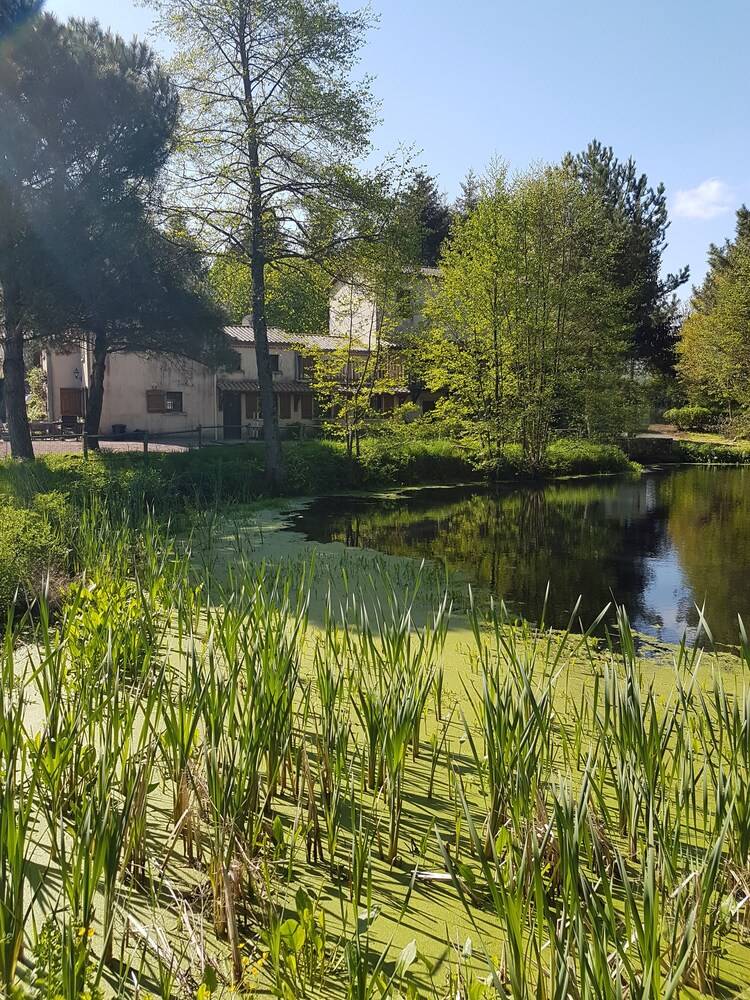 Le Moulin De Charin — hotel in La Pommeraie-Sur-Sevre